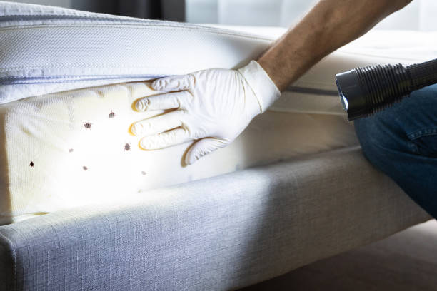 Best Cockroach Control Services  in Brookston, IN