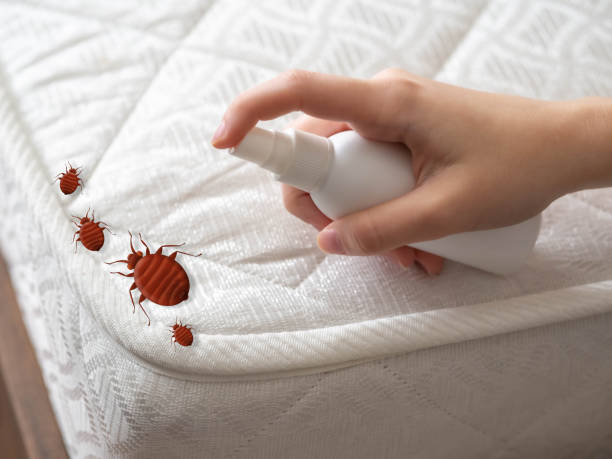 Best Best Pest Control Near Me  in Brookston, IN